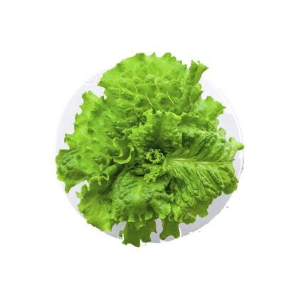 Лист салата